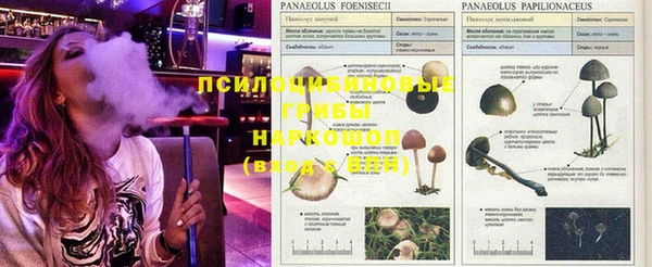 бошки Арсеньев