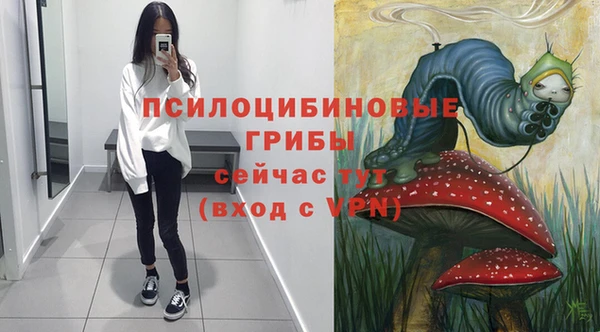 бошки Арсеньев