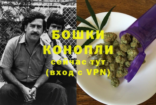 бошки Арсеньев